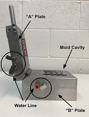 Insert Molding Mold Cavity Example